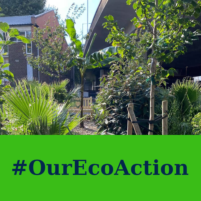 Our Eco Action